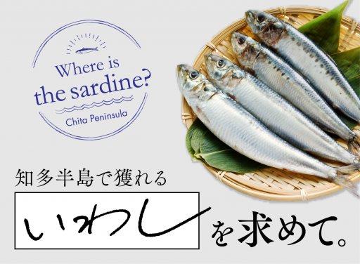 【体験レポ#1】知多半島付近で獲れるイワシを求めて。