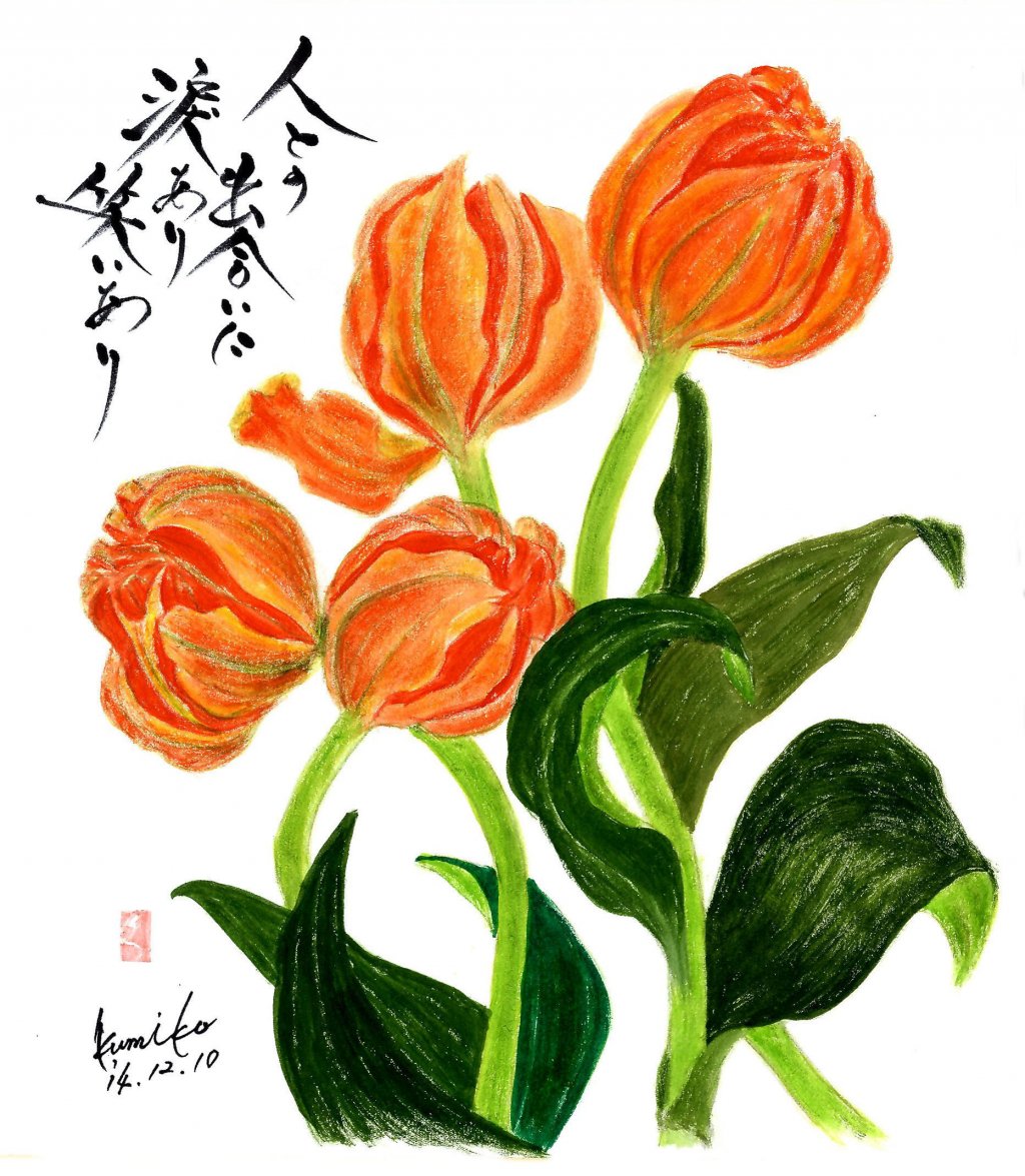 オレンジチューリップ 　花言葉「思いやり」