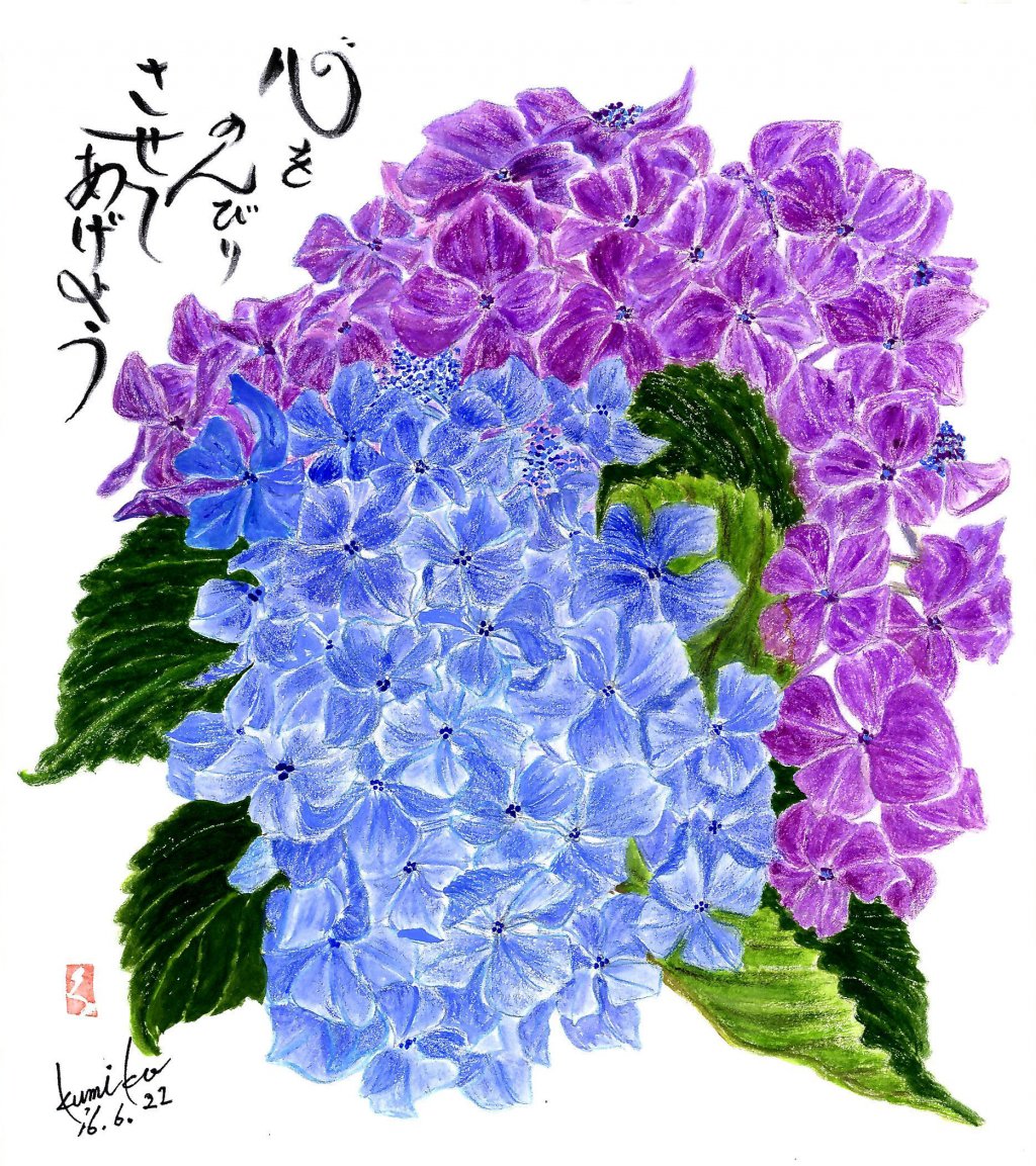 紫陽花（あじさい） 　花言葉「家族団欒」