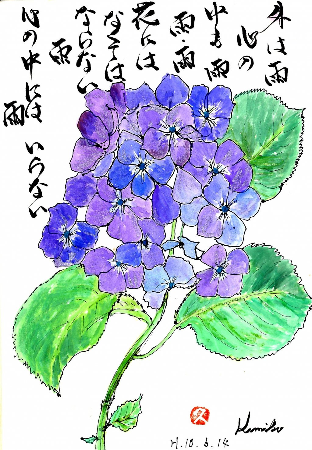 紫陽花(アジサイ)　花言葉『一家団欒』