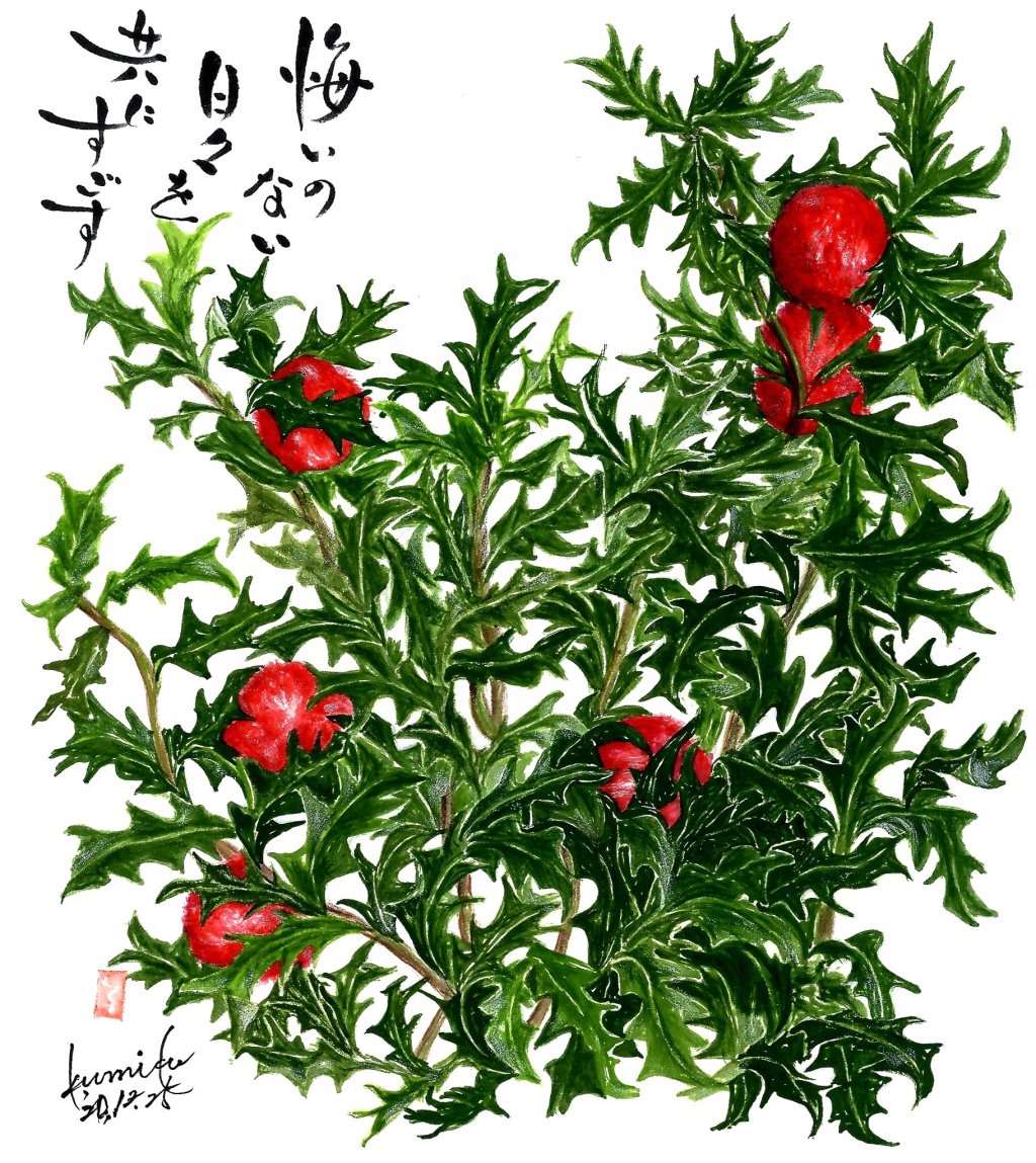 柊（ヒイラギ）　花言葉「あなたを守る」