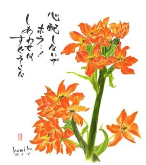 ドウビウム　　　　　花言葉「才能」