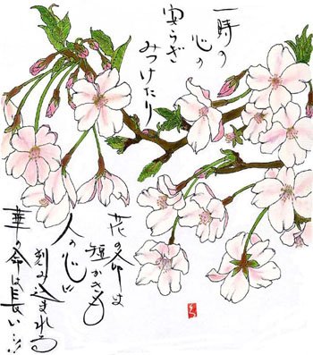 「桜」　花言葉　花言葉「あなたに微笑む」