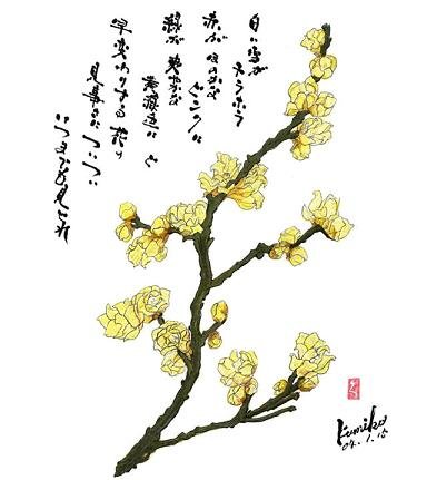 ロウバイ　花言葉「慈愛心」