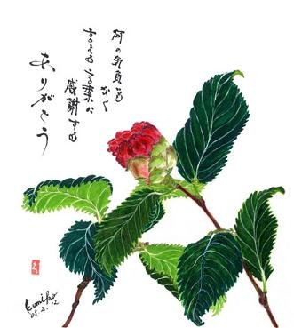 開きかけた椿の蕾　花言葉「気取らない魅力」