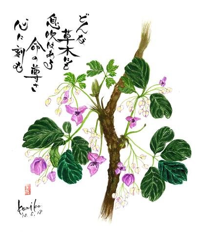 アケビの花　花言葉「才能」