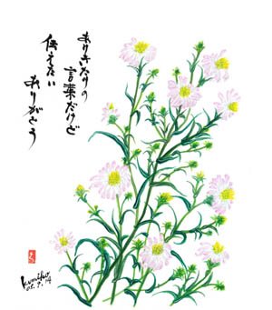 孔雀草  花言葉「可憐」