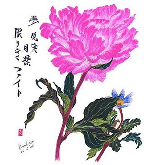 芍薬　 花言葉「恥じらい」