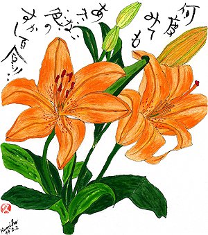 すかし百合  花言葉「理想」