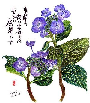 額あじさい  花言葉「謙虚」