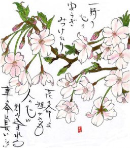 「桜」　花言葉　花言葉「あなたに微笑む」