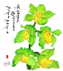 緑のシンピジューム 花言葉「熱愛」