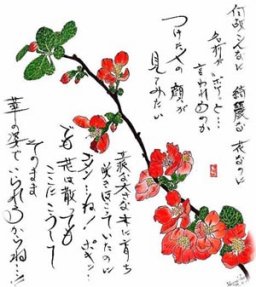 ボケ  花言葉「指導者」