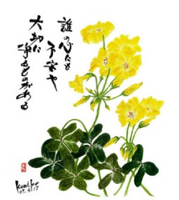 オキザリス  花言葉「輝く心」