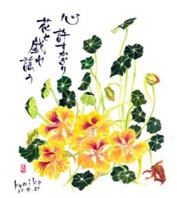 キンレンカ　花言葉「期待」