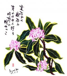 沈丁花　　　　花言葉「優しさ」