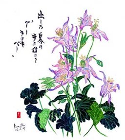 オダマキ　　　花言葉「素直」