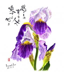 イチハツ　花言葉「知恵」