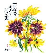 ルドベキア　花言葉「あなたを見つめる」