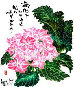 ピンクの紫陽花　花言葉「家族の結びつき」