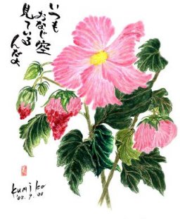 ピンクの芙蓉　花言葉「しとやかな恋人」