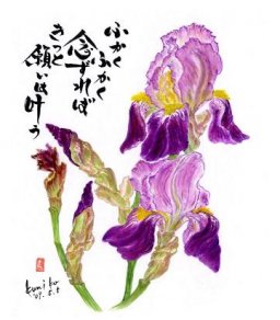 イチハツ　花言葉「熱心」