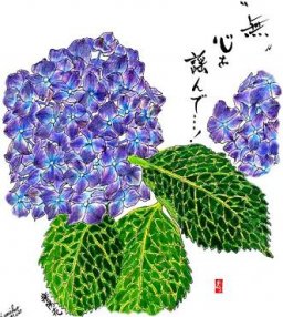 紫あじさい　花言葉「辛抱強い愛情」