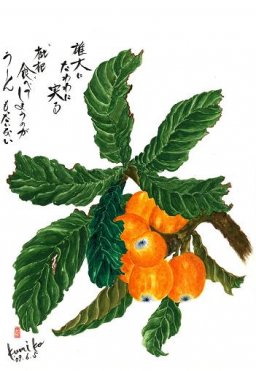 枇杷　花言葉「温和」