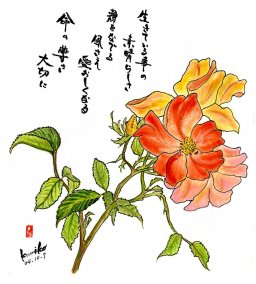 オレンジの薔薇　花言葉「温かい心」