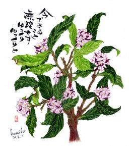 沈丁花　花言葉「青春の喜び」