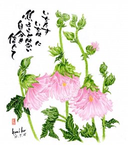 立ち葵　花言葉「大きな志」