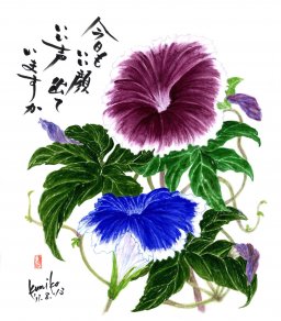二色の朝顔　花言葉「愛情の絆」