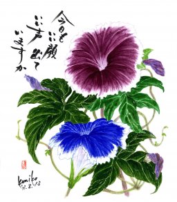 二色の朝顔　花言葉「愛情の絆」