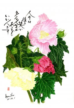 芙蓉　花言葉「繊細な美しさ」