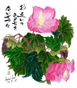 芙蓉の花　花言葉「繊細な美しさ」