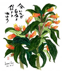 シーマ二ア　花言葉「清き愛」