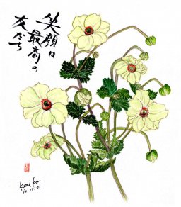 秋明菊　花言葉「忍耐」