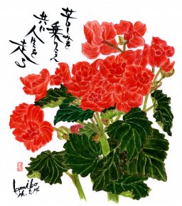 ベゴニア　花言葉「幸福な日々」