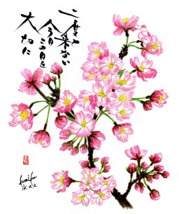 桜　「精神美」