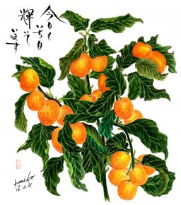 　金柑（キンカン） 花言葉「思い出」