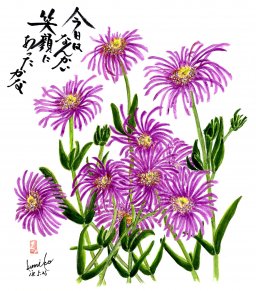 松葉菊(マツバキク) 花言葉「心広い愛情」