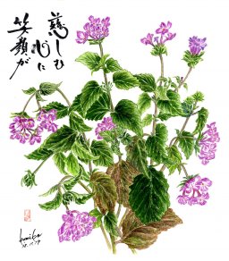 ランタナ 花言葉「協力」