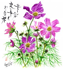 秋桜（コスモス） 花言葉「調和」