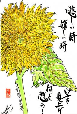 八重ヒマワリ(向日葵) 　花言葉「光輝」