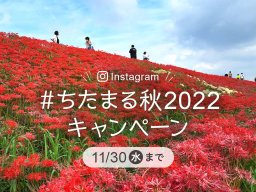 「 #ちたまる秋2022 」Instagramキャンペーンで秋を探しに行こう！