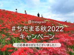 読者が激写！紅葉や旬の味覚など、知多半島の秋が集結「#ちたまる秋2022」