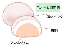 小学生が商品開発!?老舗和菓子店とコラボした「乙オーレ」が話題