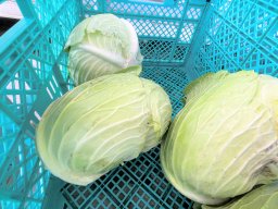 売り切れ御免！大人気の野菜無人販売所「採れたてらんど」って知ってる？