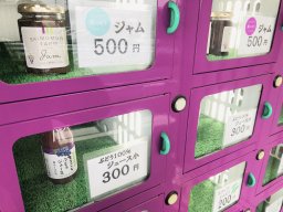 大府市のブドウ農園前で発見！ジュースやジャムの自動販売機【おもしろ自販機#26】