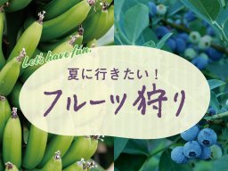 夏に行きたい！果物狩り体験スポット【ちたまるスタイル6・7月号】